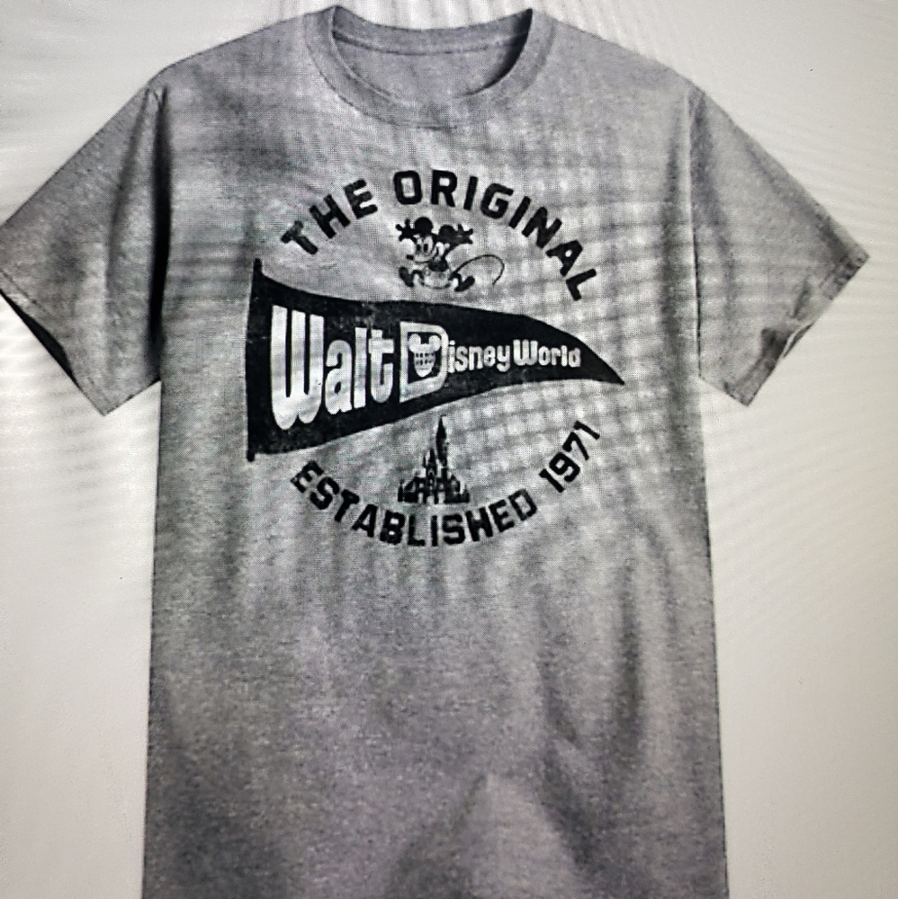 Grey Disney Parks Vintage Style T shirt